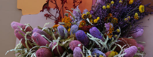 Lois Mary Olney (1963 -2024)