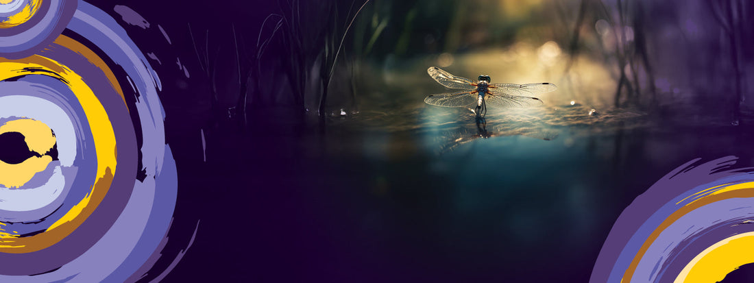 Danjoo Koorliny Djilba Summit 2025